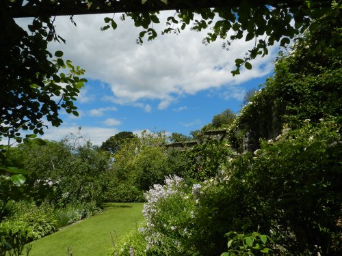 Bodnant Garden, June 2011