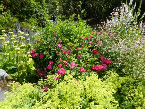 Bodnant Garden, June 2011