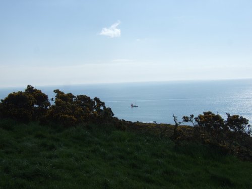 On the Coastal Path to Dartmouth Castle