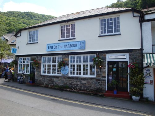 Lynton and Lynmouth, June 2009