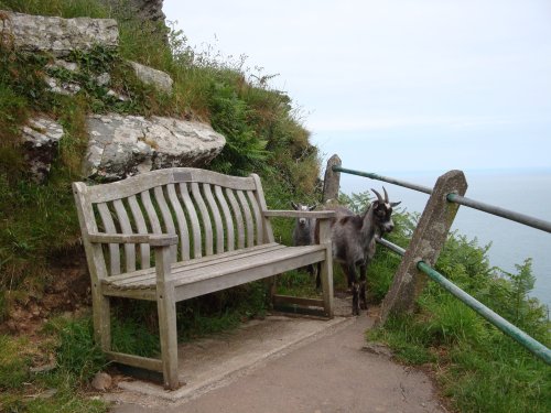 Lynton and Lynmouth, June 2009