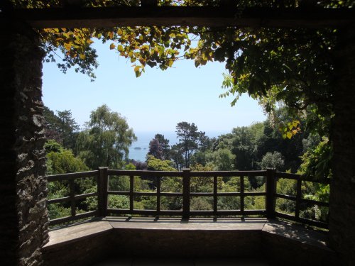 Coleton Fishacre, June 2009