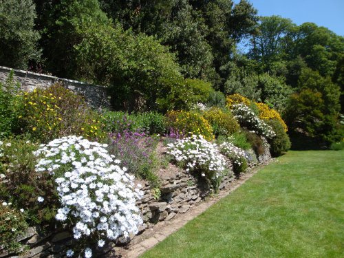 Coleton Fishacre, June 2009