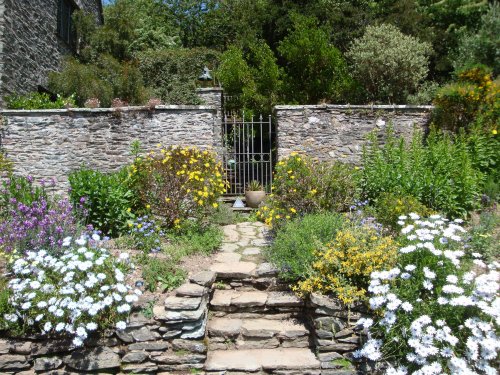 Coleton Fishacre, June 2009