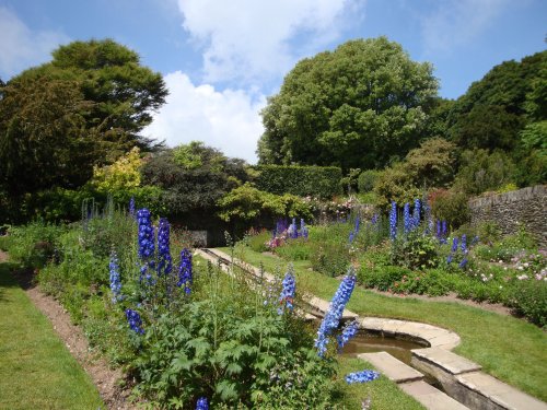 Coleton Fishacre, June 2009