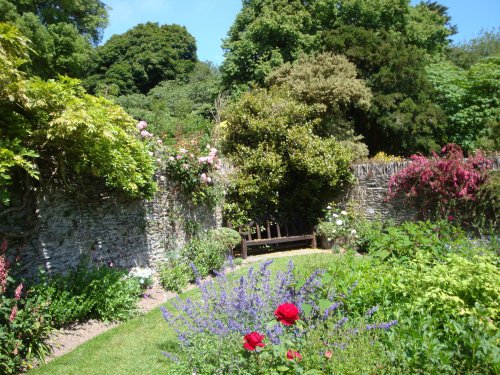 Coleton Fishacre, June 2009