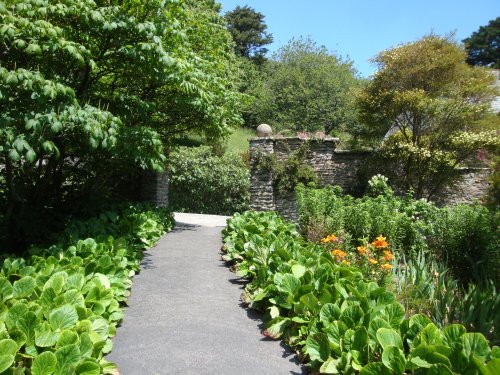 Coleton Fishacre, June 2009