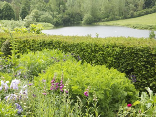 Culpeper Garden, Leeds Castle