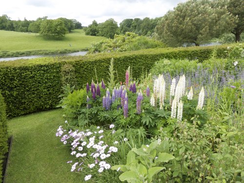 Culpeper Garden, Leeds Castle