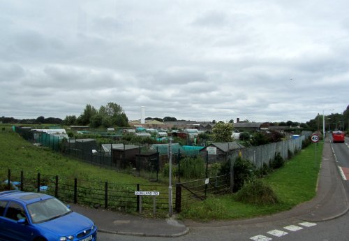 Boreland Allotments