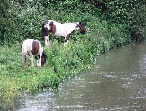 Irthlingborough