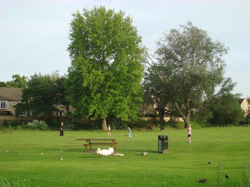 Town Meadows