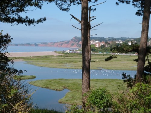 Budleigh Salterton