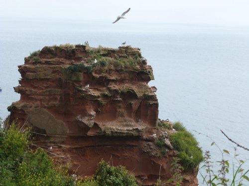 Ladram Bay