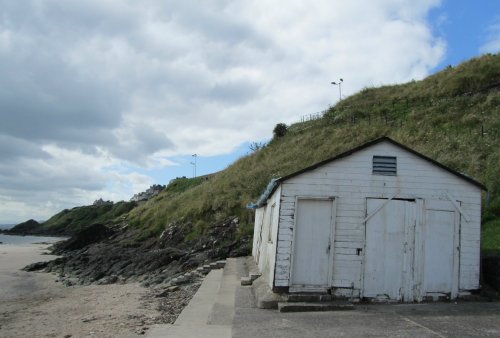 Old Shed