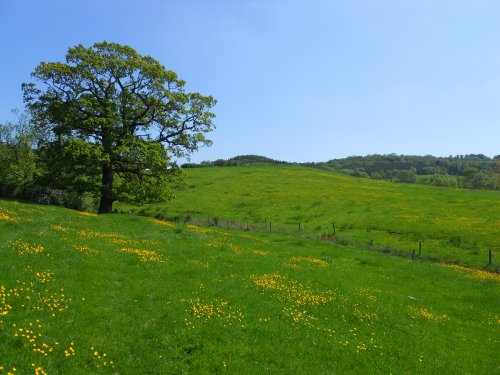 Napton on the Hill