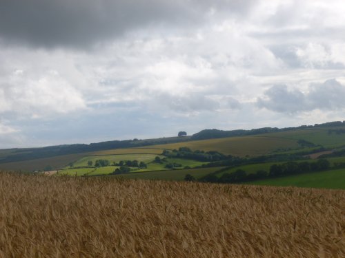 High on the plateau above Plush, Dorset