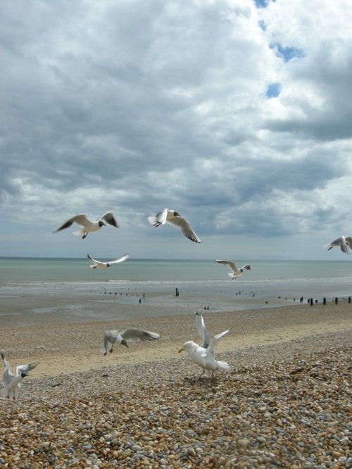 Gathering Clouds, Winchelsea Beach, East Sussex
