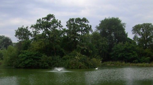 Lake In The Park