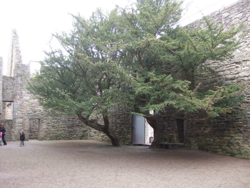 Craigmillar Castle, Edinburgh