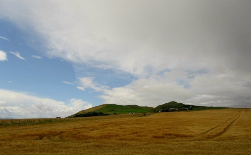 Farmland