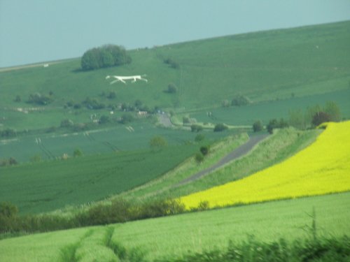 The Hackpen White Horse near Broad Hinton