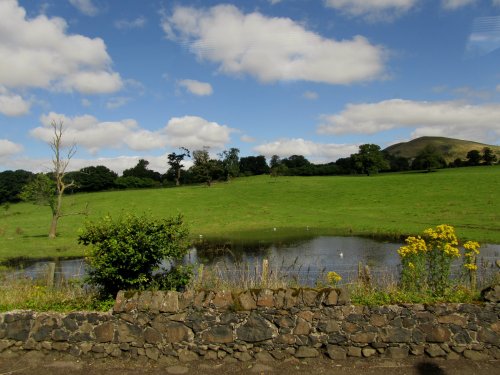 Waterlogged Field