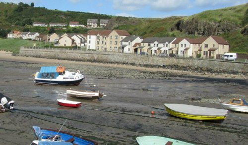 Across the Harbour