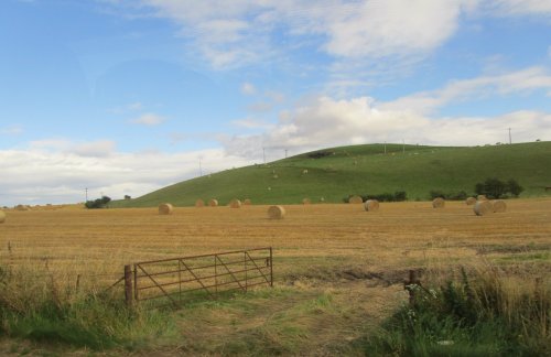 Farmland