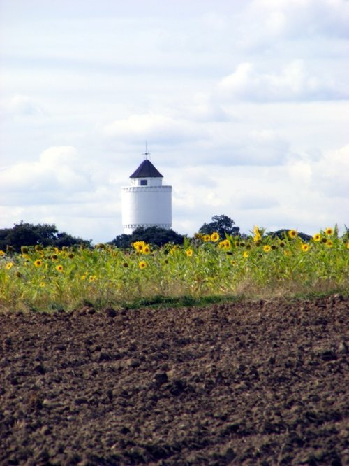 Havering Atte Bower