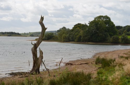 Carsington Water