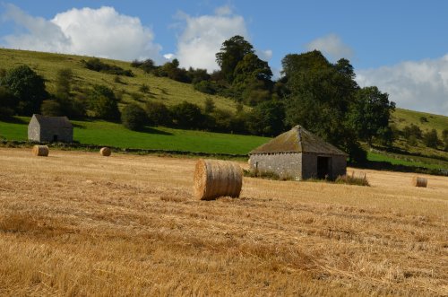 Farm near Tissington