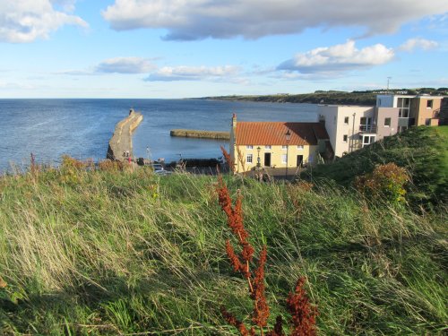 St Andrews Harbour