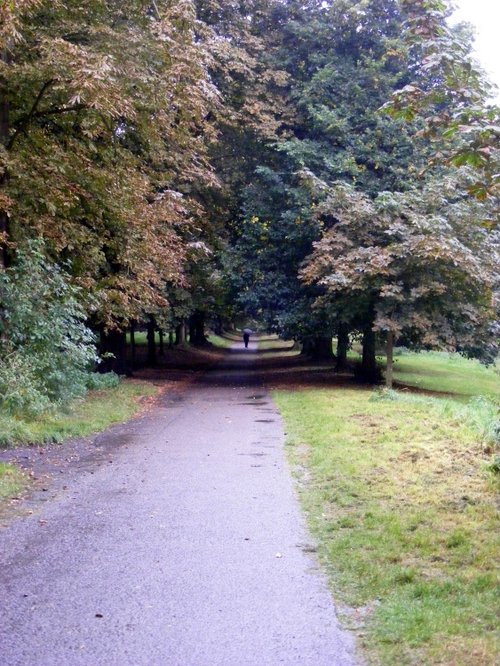 Nonsuch Park, Ewell