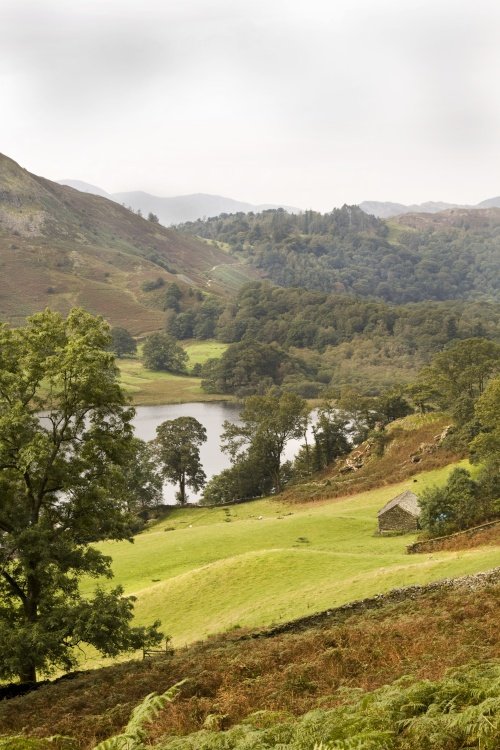 Loughrigg Terrace