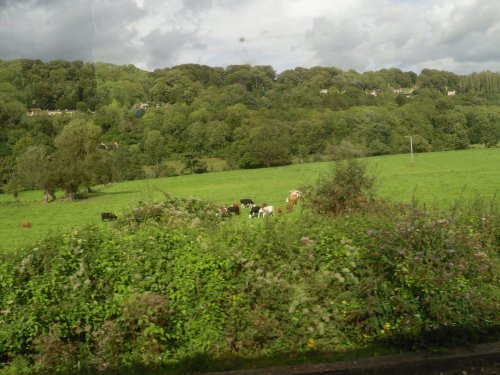 Beautiful views near Bradford-On-Avon