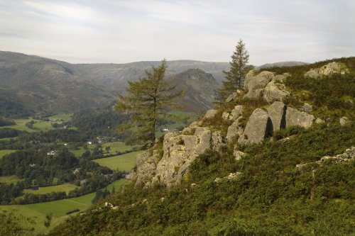 Rocks and trees