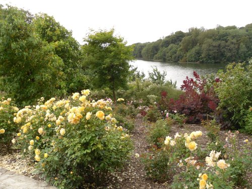 Blenheim Palace gardens and the lake