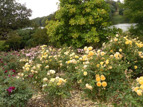 Blenheim Palace gardens