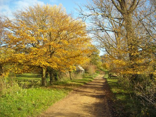 Hidcote