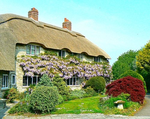 Beautiful cottage in the village Corfe