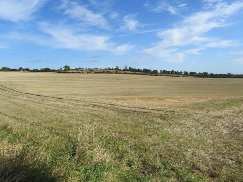 Farmland