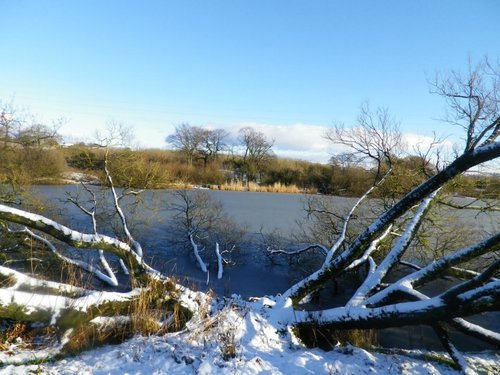 Brookside Nature Reserve