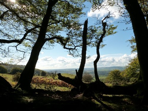 Quantock Hills