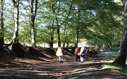 Quantock Hills