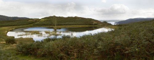 Lily Tarn and Windermere