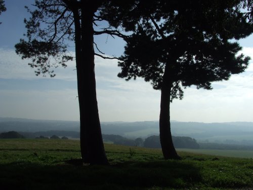 Wentworth Castle Gardens