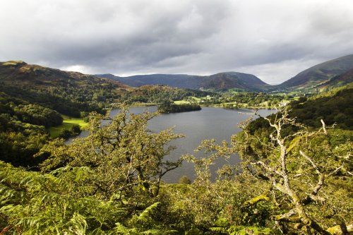 Grasmere from Loughrigg terrace