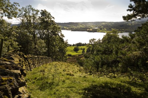 Skelghyll Woods 7