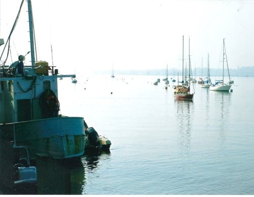 River Exe at Topsham